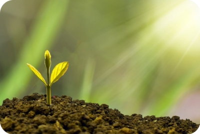 investment-concept-business-round